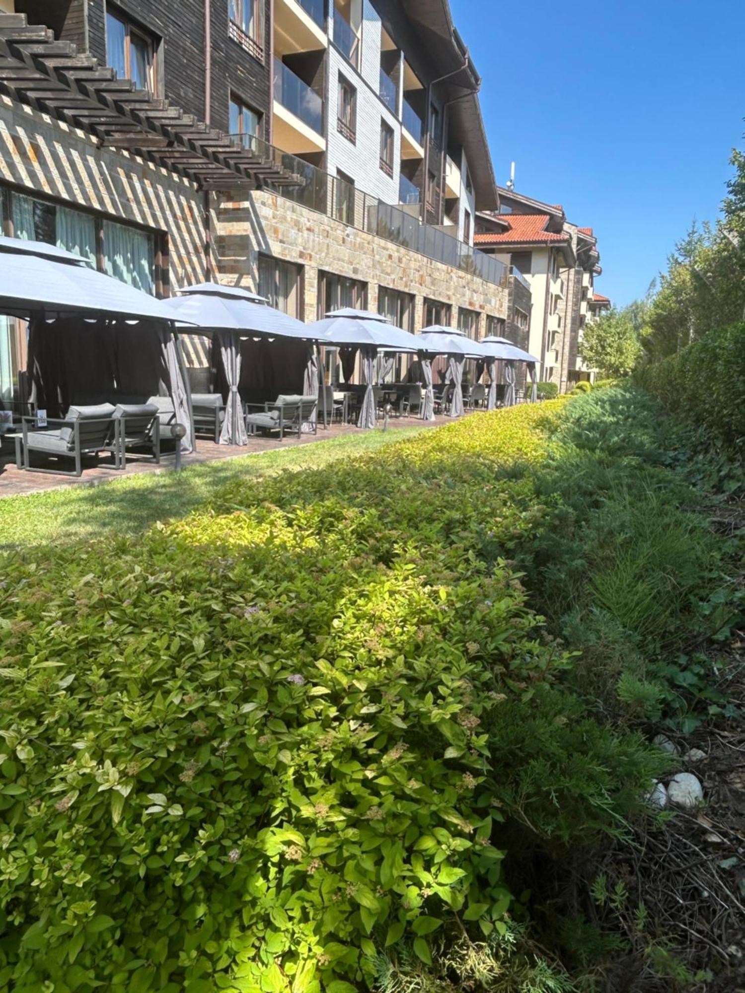 The Nature View Suite, Part Of Terra Complex & * Bansko