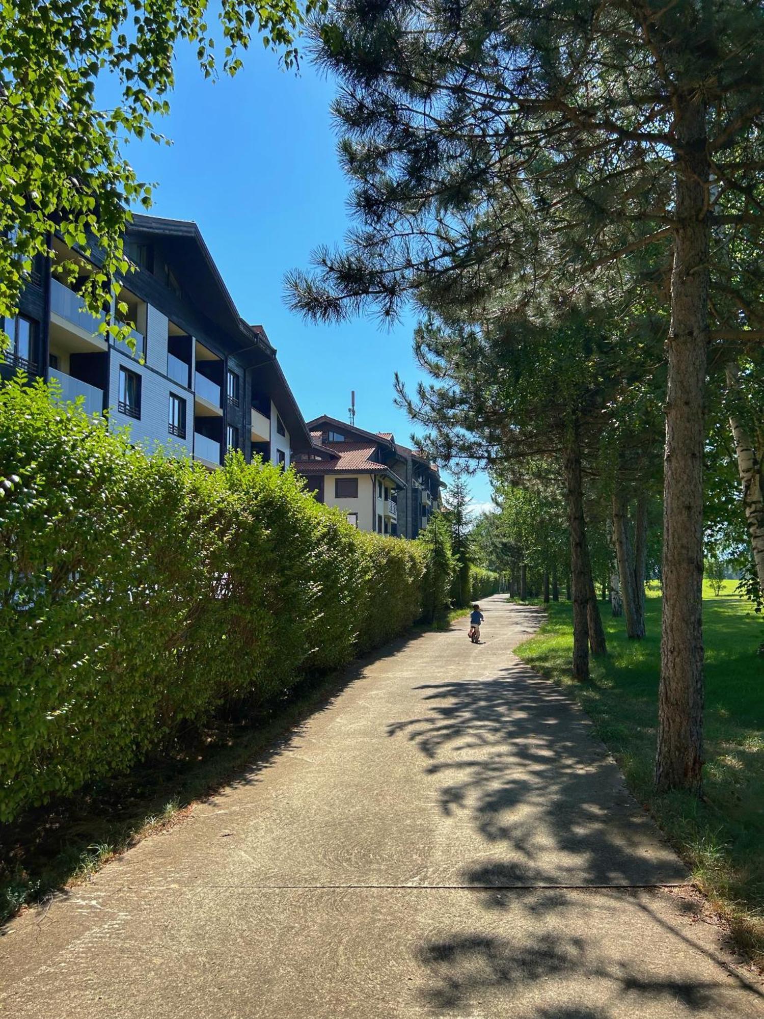 The Nature View Suite, Part Of Terra Complex & Appartamento Bansko